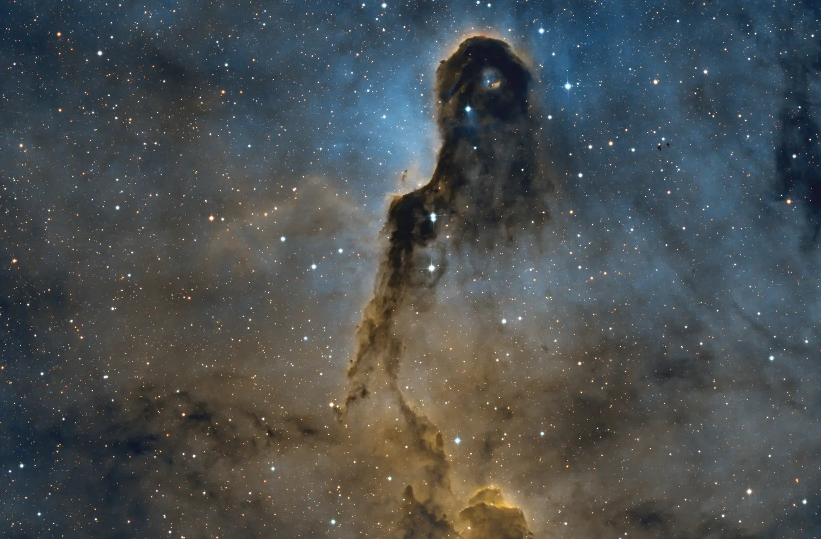 Elefanterüsselnnebel aufgenommen mit dem Dall Kirkham Teleskop des Astroclub Radebeul e.V. an der Sternwarte Radebeul Elefanterüsselnnebel aufgenommen mit dem Dall Kirkham Teleskop des Astroclub Radebeul e.V. an der Sternwarte Radebeul