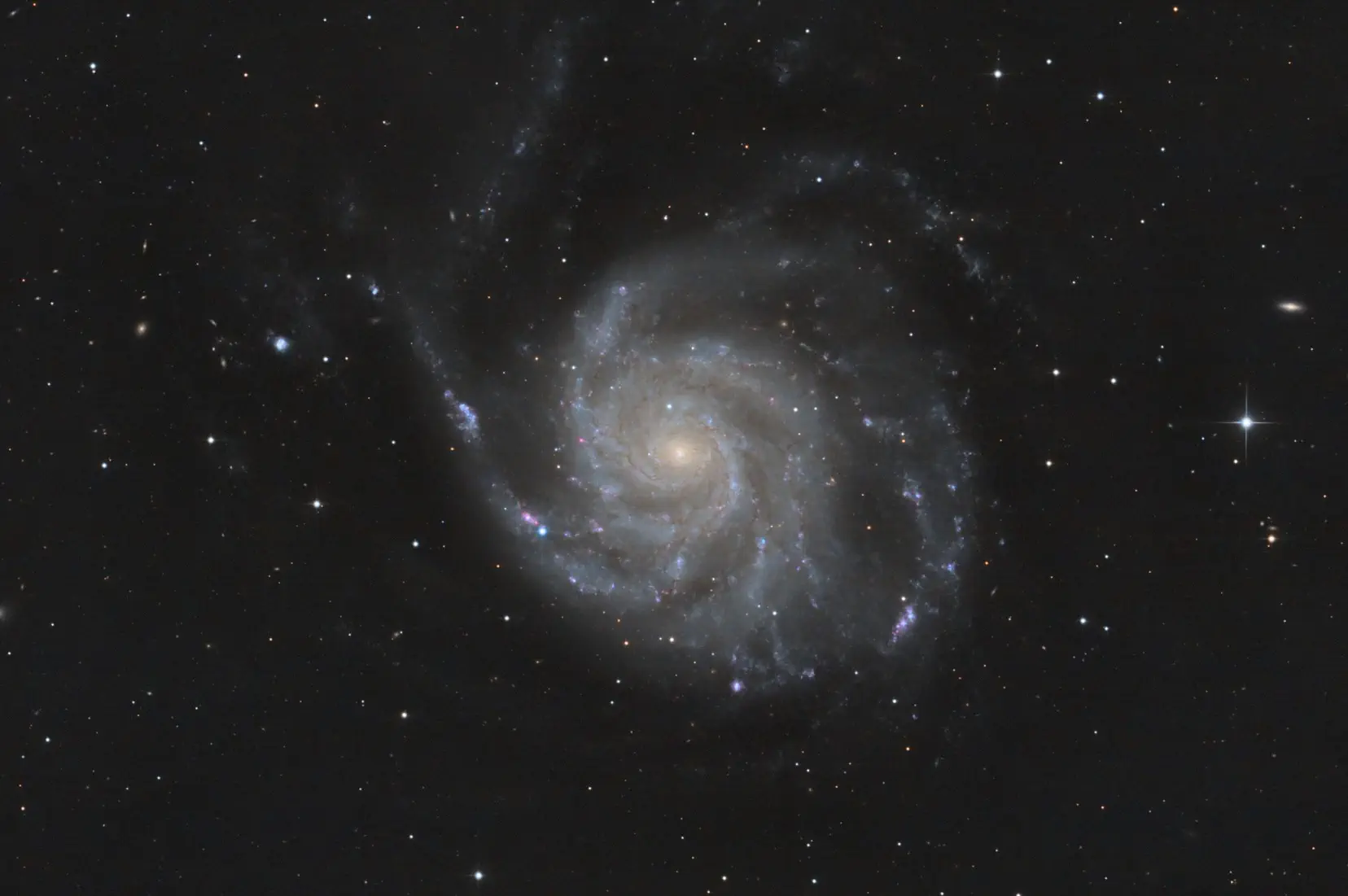 Feuerradgalaxie M101 aufgenommen mit dem Dall Kirkham Teleskop des Astroclub Radebeul e.V. an der Sternwarte Radebeul Feuerradgalaxie M101 aufgenommen mit dem Dall Kirkham Teleskop des Astroclub Radebeul e.V. an der Sternwarte Radebeul