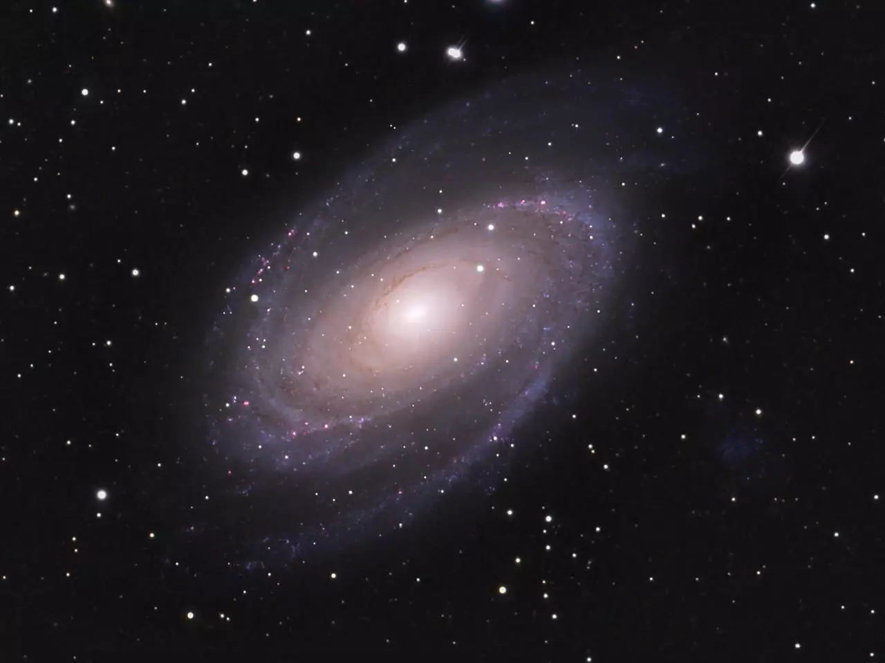 Mit dem Maksutov Teleskop aufgenommenes Foto vom M81 LRGB2009